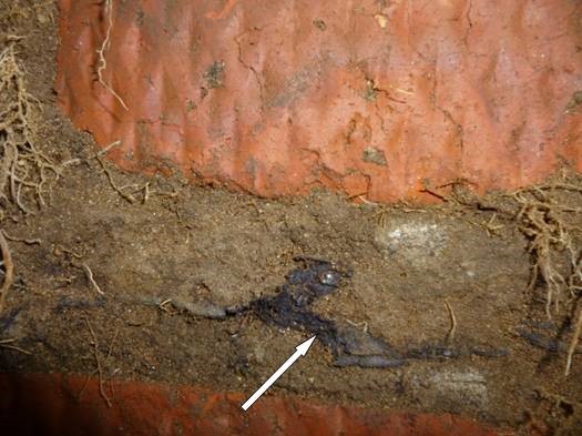 Экспертиза гаража фото 2